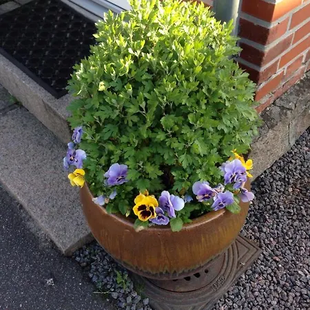 Bed & Breakfast Byensperle Sakskøbing