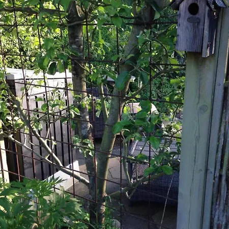 Bed & Breakfast Byensperle